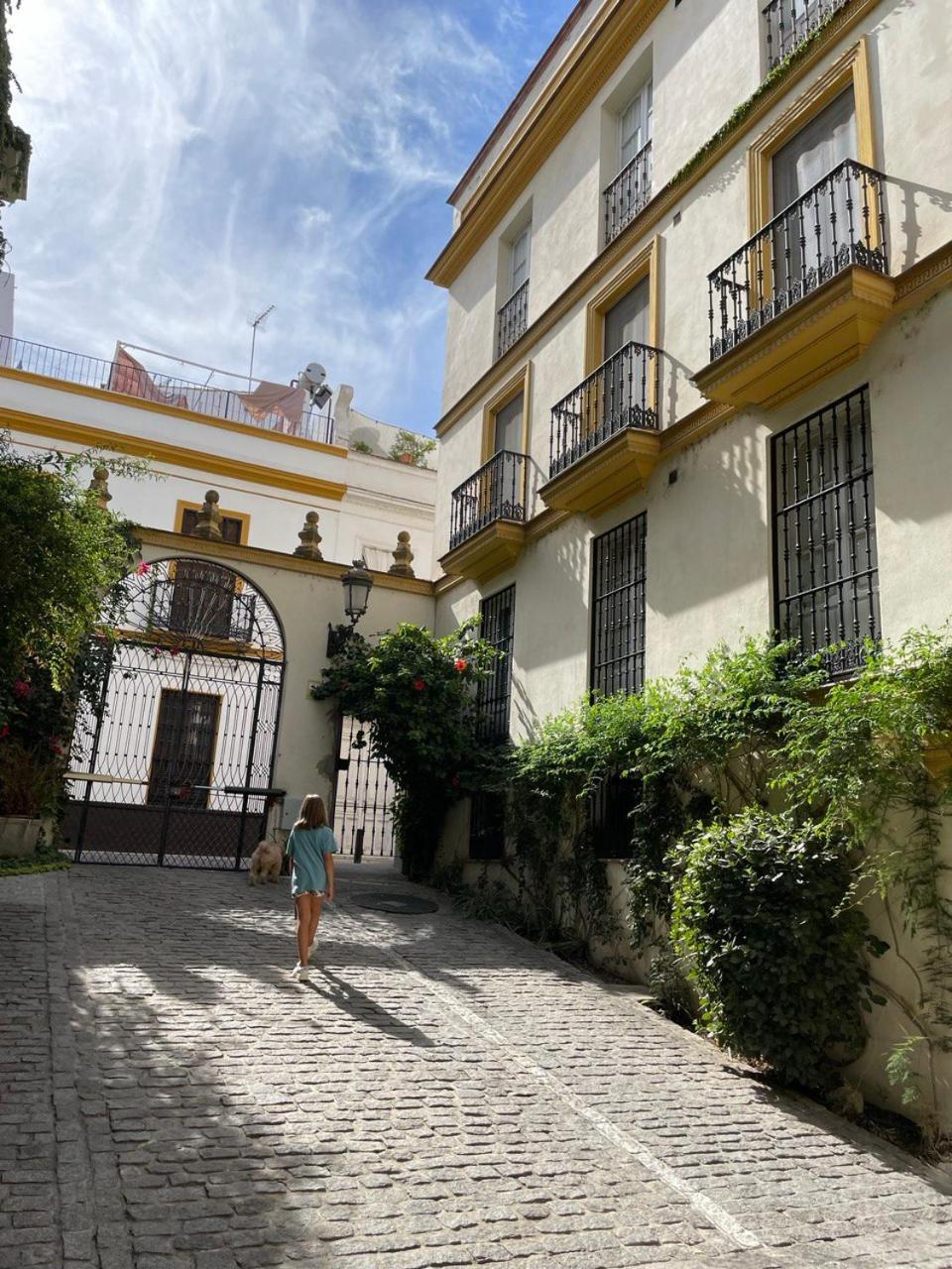 Sevilla Centro-Casco Antiguo -Vidrio 36 Екстер'єр фото